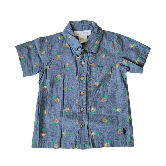 Well Dressed Wolf Boy's Short Sleeve Pineapple Shirt
